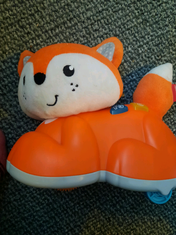 crawl after learning fox